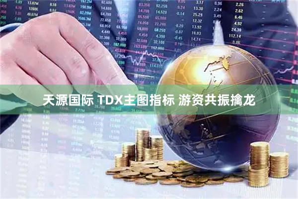 天源国际 TDX主图指标 游资共振擒龙