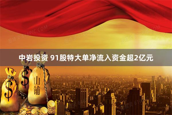 中岩投资 91股特大单净流入资金超2亿元